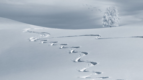 Stratégies de course pour un trail blanc en hiver